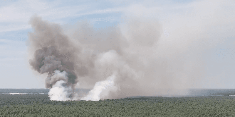 Un incendio forestal arrasa 100 hectáreas en Limburgo
